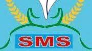 sms