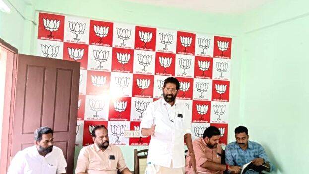 11-bjp-pdm 11-bjp-pdm