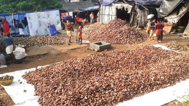 koprakkalam- koprakkalam-