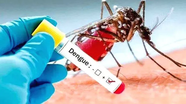 dengue