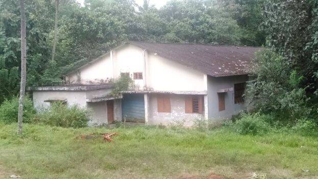 kulathupuzha kulathupuzha