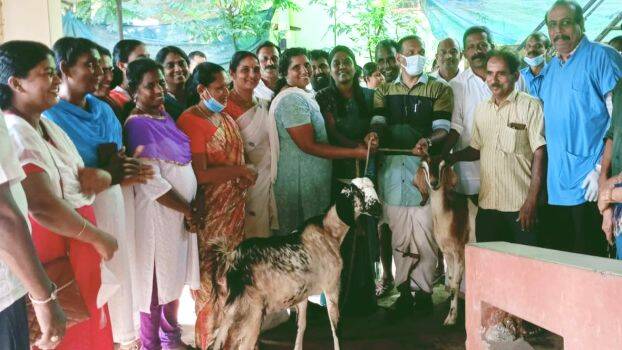 adu-valartal-padadi adu-valartal-padadi