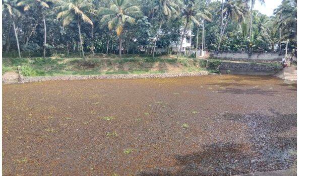 gomathimangalam gomathimangalam