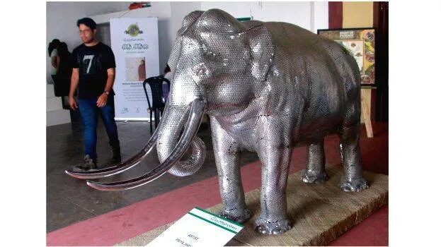 elephant