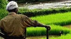 farmer