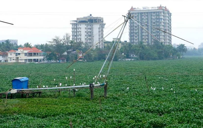 Kerala Kaumudi Photo Gallery