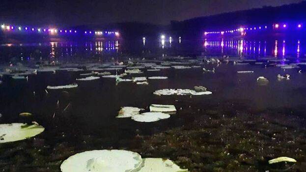 thumbichal thumbichal