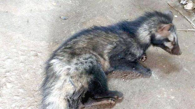 marappatty marappatty