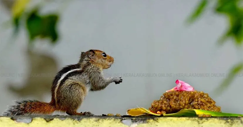 Kerala Kaumudi Photo Gallery
