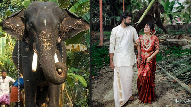 greeshma-jayasankar greeshma-jayasankar