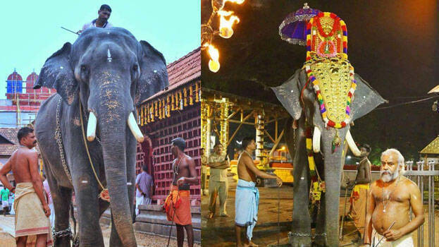 panmana-saravanan panmana-saravanan