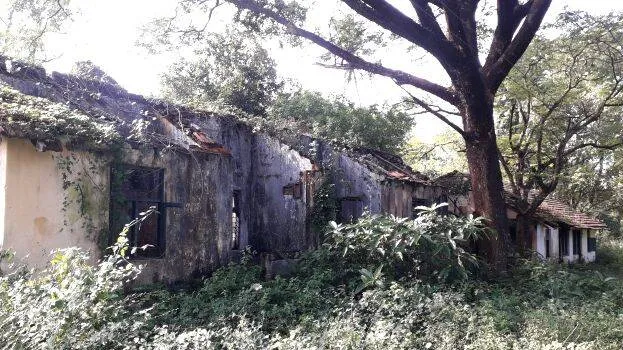 mill