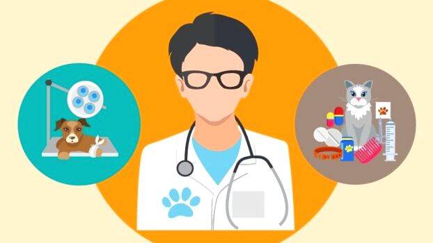 veterinary-doctor