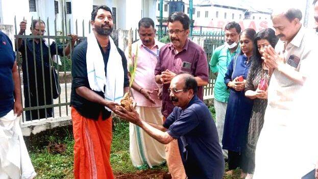 08-kel-palm 08-kel-palm