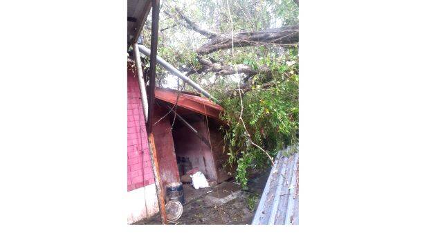 coffe-house coffe-house