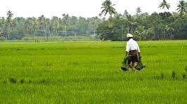 kerala