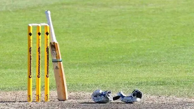 cricket