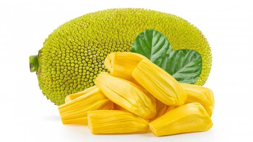 chakka