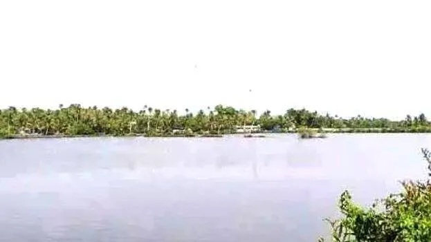 ve