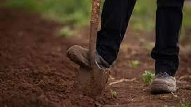 burying