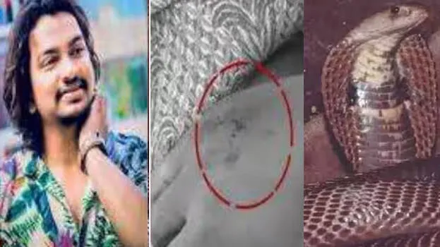snake