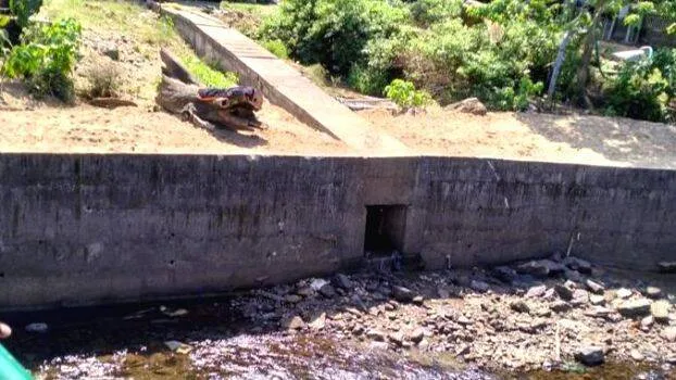 pamba