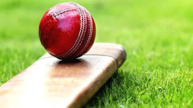-cricket