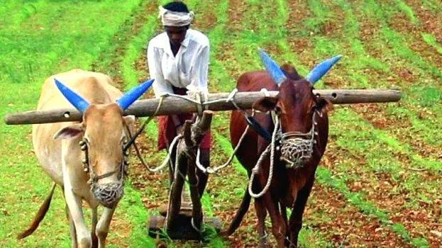 agriculture