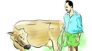 milk-