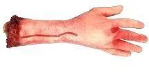 hand