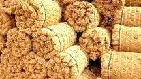 coir