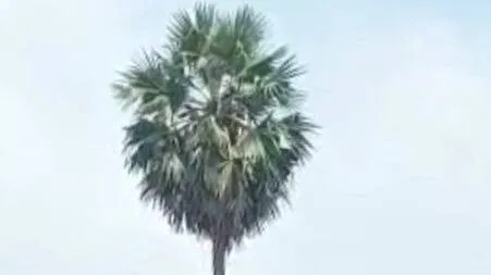 ambala