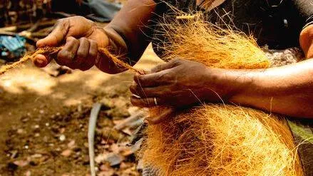 coir
