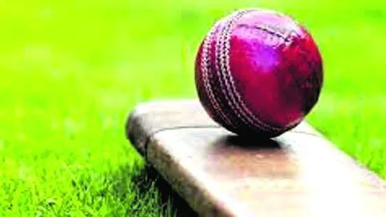 cricket
