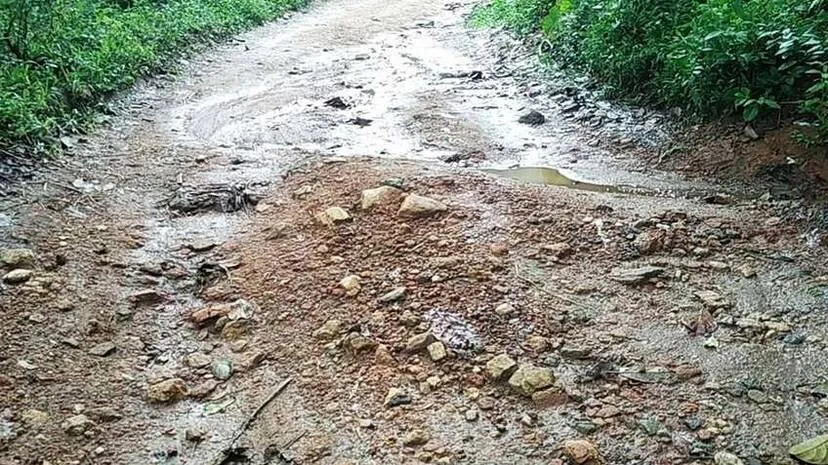 panchayath