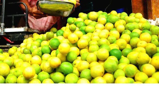 lemon