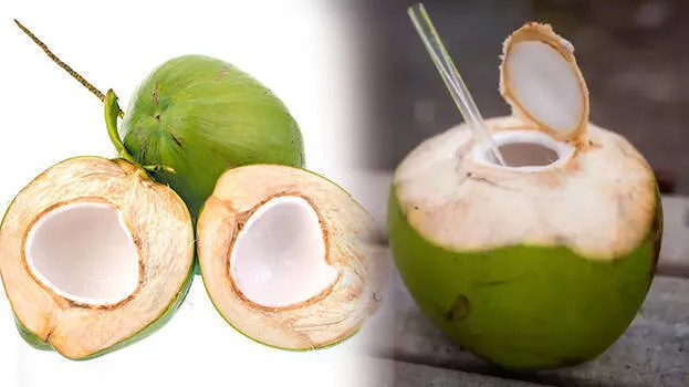 coconut-