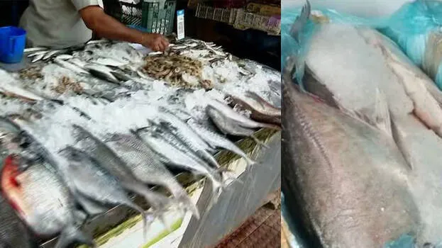 old-fish