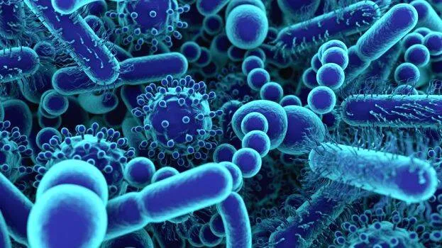 h5n1