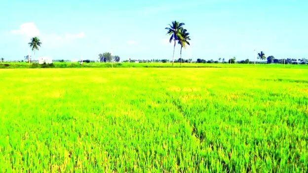agri