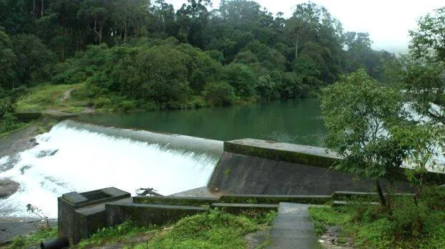 kochu-pamba