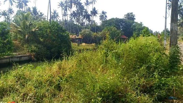 kandal
