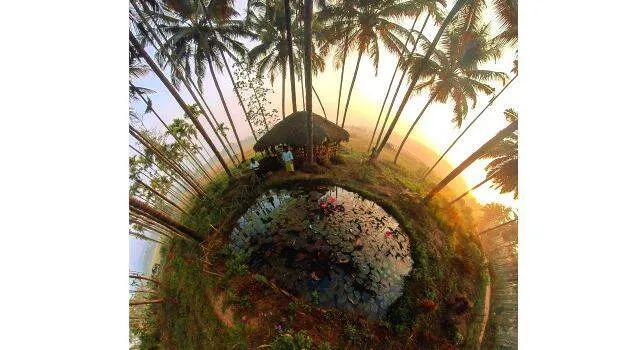 chekadi-vayanadu