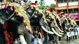 elephant-in-temple