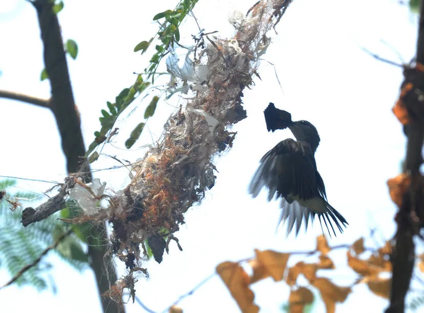 Kerala Kaumudi Photo Gallery