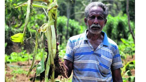krishi