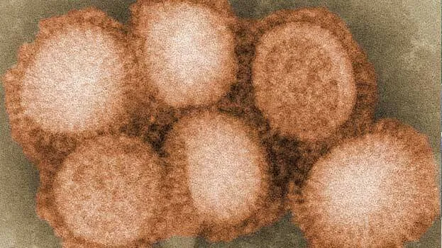 h3n2