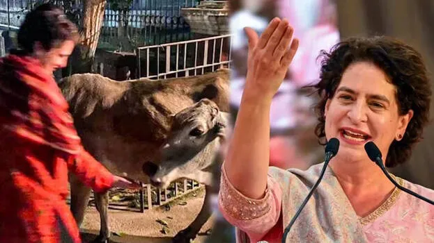 -priyanka-gandhi
