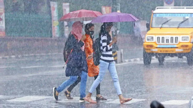 rain-alert-