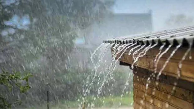 summer-rain